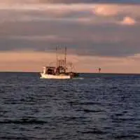 Eordaialive.com - Τα Νέα της Πτολεμαΐδας, Εορδαίας, Κοζάνης Ανανέωση των αδειών σκαφών επαγγελματικής αλιείας στην Π.Ε. Κοζάνης