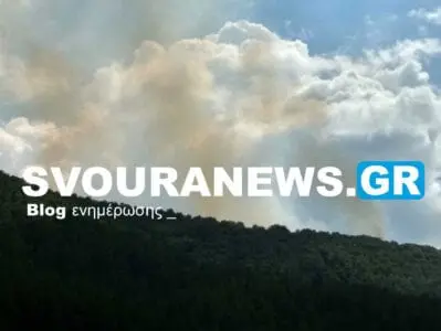 Eordaialive.com - Τα Νέα της Πτολεμαΐδας, Εορδαίας, Κοζάνης Καστοριά: Μεγάλη φωτιά στον Βέργα