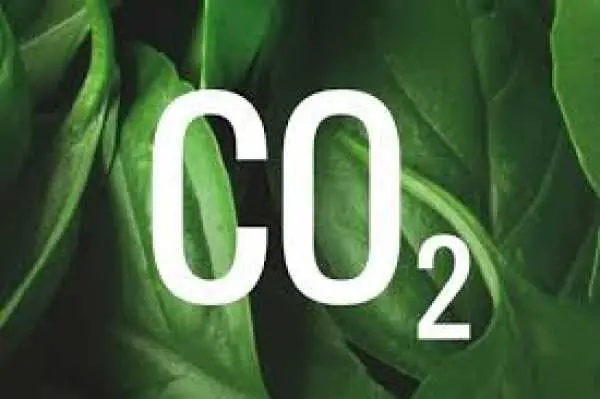 Eordaialive.com - Τα Νέα της Πτολεμαΐδας, Εορδαίας, Κοζάνης Χαμένη η βιομηχανία από τη μεθοδολογία αντιστάθμισης των CO2 - Σε αδιέξοδο οι διαπραγματεύσεις με τη ΔΕΗ