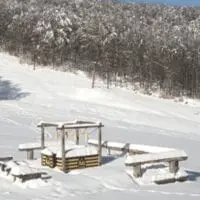 Eordaialive.com - Τα Νέα της Πτολεμαΐδας, Εορδαίας, Κοζάνης Απόδραση στο χιονοδρομικό κέντρο Πισοδερίου Φλώρινας (βίντεο)
