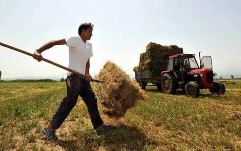 Eordaialive.com - Τα Νέα της Πτολεμαΐδας, Εορδαίας, Κοζάνης Ξεκινά η λειτουργία αναβαθμισμένων υπηρεσιών e-EΦΚΑ για τους αγρότες