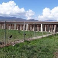 Επίσκεψη της Αθηνάς Τερζοπούλου στο κυνοκομείο Πτολεμαΐδας - Eordaialive.com