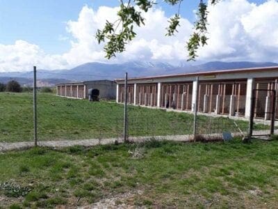Επίσκεψη της Αθηνάς Τερζοπούλου στο κυνοκομείο Πτολεμαΐδας - Eordaialive.com