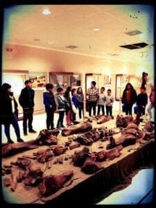 Πτολεμαΐδα :Μια Κυριακή στο Μουσείο - Eordaialive.com