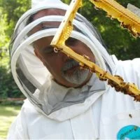 Eordaialive.com - Τα Νέα της Πτολεμαΐδας, Εορδαίας, Κοζάνης Πληροφόρηση σχετικά με τις αιτήσεις των μελισσοκόμων προς το ΛΚΔΜ της ΔΕΗ