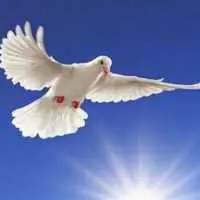 Eordaialive.com - Τα Νέα της Πτολεμαΐδας, Εορδαίας, Κοζάνης Πότε «πέφτει» φέτος η εορτή του Αγίου Πνεύματος- Γιατί εορτάζεται ξεχωριστά