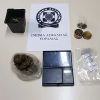 Eordaialive.com - Τα Νέα της Πτολεμαΐδας, Εορδαίας, Κοζάνης Σύλληψη 35χρονου στην Πτολεμαΐδα για καλλιέργεια, διακίνηση και κατοχή ναρκωτικών ουσιών