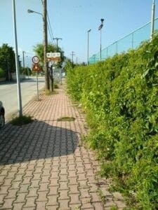 Πτολεμαΐδα: Καταγγελία αναγνώστη προς την τωρινή Δημοτική αρχή (φωτογραφίες) - Eordaialive.com