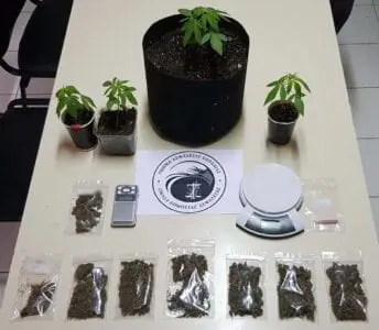 Eordaialive.com - Τα Νέα της Πτολεμαΐδας, Εορδαίας, Κοζάνης Συνελήφθησαν δύο ημεδαποί στην Πτολεμαΐδα, για καλλιέργεια δενδρυλλίων κάνναβης και κατοχή ναρκωτικών