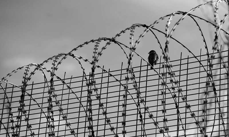 Eordaialive.com - Τα Νέα της Πτολεμαΐδας, Εορδαίας, Κοζάνης Απέδρασαν Αλβανοί βαρυποινίτες από τις φυλακές Κασσάνδρας