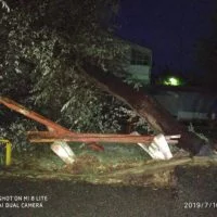 Eordaialive.com - Τα Νέα της Πτολεμαΐδας, Εορδαίας, Κοζάνης eordaialive.gr: Έπεσαν δέντρα στην Εορδαία από την καταιγίδα – Ευτυχώς δε θρηνήσαμε θύματα (φωτό)