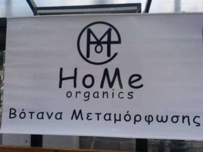 H θωμαή Ζαρκοδήμου για τη "Γιορτή Τσαγιού" στη Μεταμόρφωση Κοζάνης. - Eordaialive.com