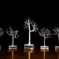 INTERNATIONAL ΜICRO μ FESTIVAL 2019: Από τις 9 ως τις 13 Οκτωβρίου - Ταυτόχρονα σε δώδεκα πόλεις της Ελλάδας και του εξωτερικού - Eordaialive.com