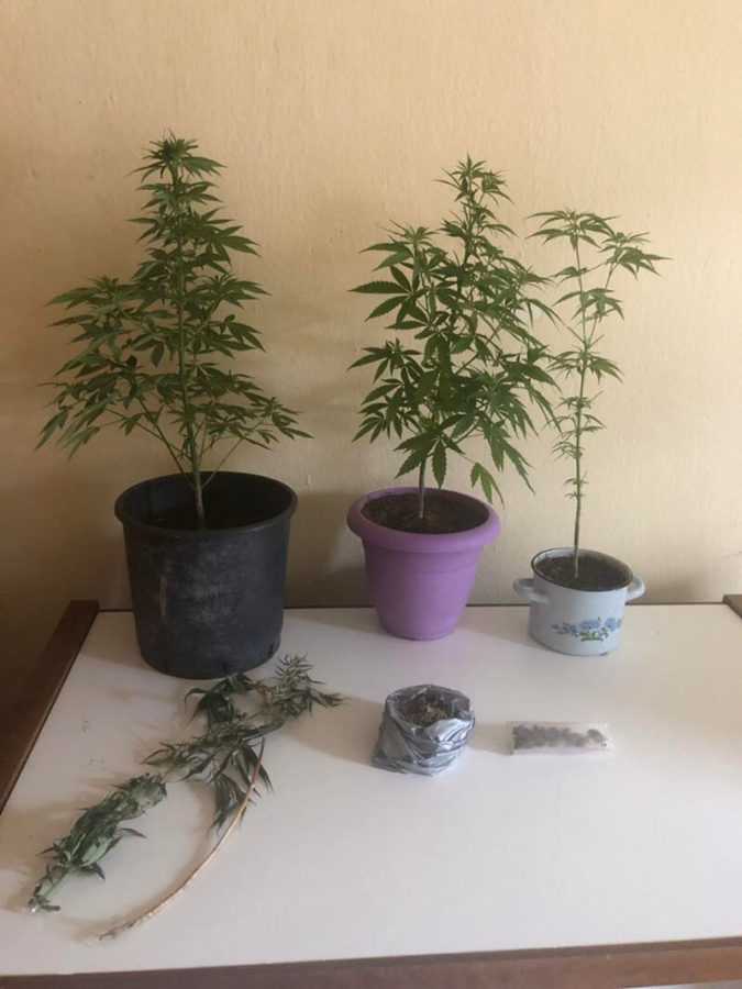 Eordaialive.com - Τα Νέα της Πτολεμαΐδας, Εορδαίας, Κοζάνης Σύλληψη δυο ατόμων στην Καστοριά για κατοχή και καλλιέργεια ναρκωτικών ουσιών, κατά περίπτωση