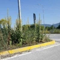 Εορδαία: Τα χόρτα σκεπάζουν τα αυτοκίνητα - Eordaialive.com