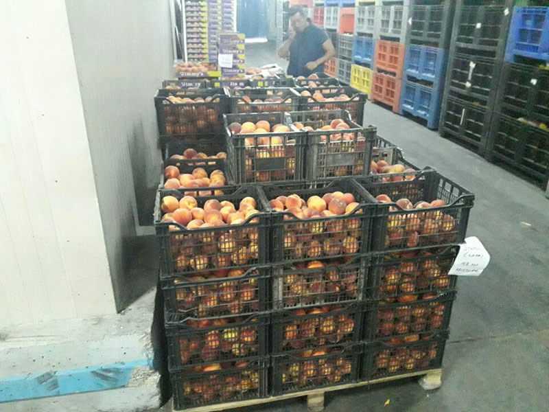 Ο Βουλευτής Φλώρινας Αντωνιάδης Γιάννης στον Αγροτικό Συνεταιρισμό Αμυνταίου | Eordaialive.com Ο Βουλευτής Φλώρινας Αντωνιάδης Γιάννης στον Αγροτικό Συνεταιρισμό Αμυνταίου - Eordaialive.com