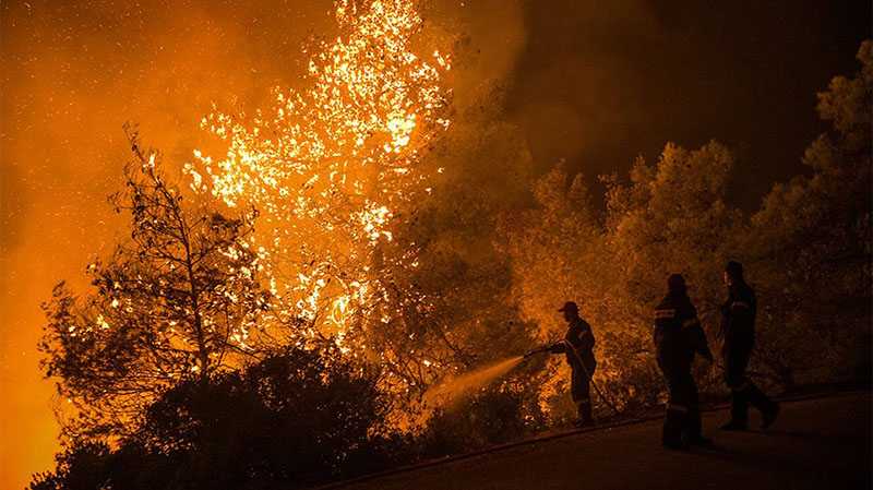 Eordaialive.com - Τα Νέα της Πτολεμαΐδας, Εορδαίας, Κοζάνης Έβαλαν 8.270 φωτιές μέσα στο 2019 - Έλληνας, άνω των 45 και παντρεμένος με παιδιά ο εμπρηστής