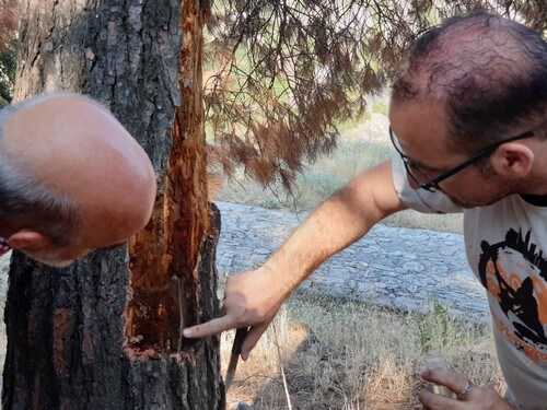 Επίσκεψη κλιμακίου Δασολόγων στο λόφο του κάστρου Σερβίων | Eordaialive.com Επίσκεψη κλιμακίου Δασολόγων στο λόφο του κάστρου Σερβίων - Eordaialive.com
