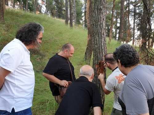 Eordaialive.com - Τα Νέα της Πτολεμαΐδας, Εορδαίας, Κοζάνης Επίσκεψη κλιμακίου Δασολόγων στο λόφο του κάστρου Σερβίων