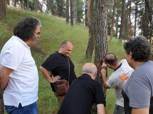 Επίσκεψη κλιμακίου Δασολόγων στο λόφο του κάστρου Σερβίων | Eordaialive.com Επίσκεψη κλιμακίου Δασολόγων στο λόφο του κάστρου Σερβίων - Eordaialive.com