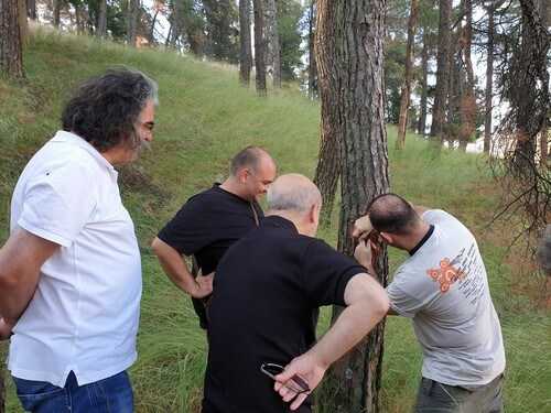 Επίσκεψη κλιμακίου Δασολόγων στο λόφο του κάστρου Σερβίων | Eordaialive.com Επίσκεψη κλιμακίου Δασολόγων στο λόφο του κάστρου Σερβίων - Eordaialive.com