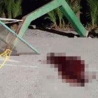 Σοκ στη Χίο: Μπασκέτα σκότωσε 19χρονο - Eordaialive.com
