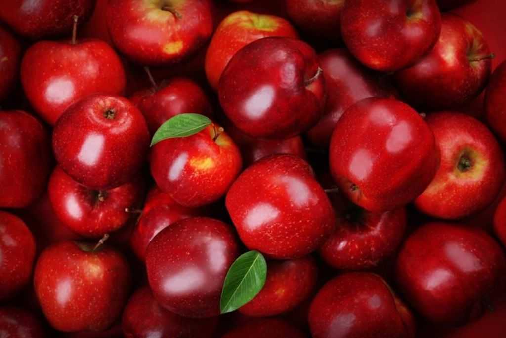 Eordaialive.com - Τα Νέα της Πτολεμαΐδας, Εορδαίας, Κοζάνης Εορδαία: Περιζήτητα τα «Κόκκινα μήλα» του Μηλοχωρίου