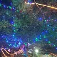 Eordaialive.com - Τα Νέα της Πτολεμαΐδας, Εορδαίας, Κοζάνης Θρακική Εστία Εορδαίας: Τσιγαρίδες και άναμμα Χριστουγεννιάτικου Δέντρου