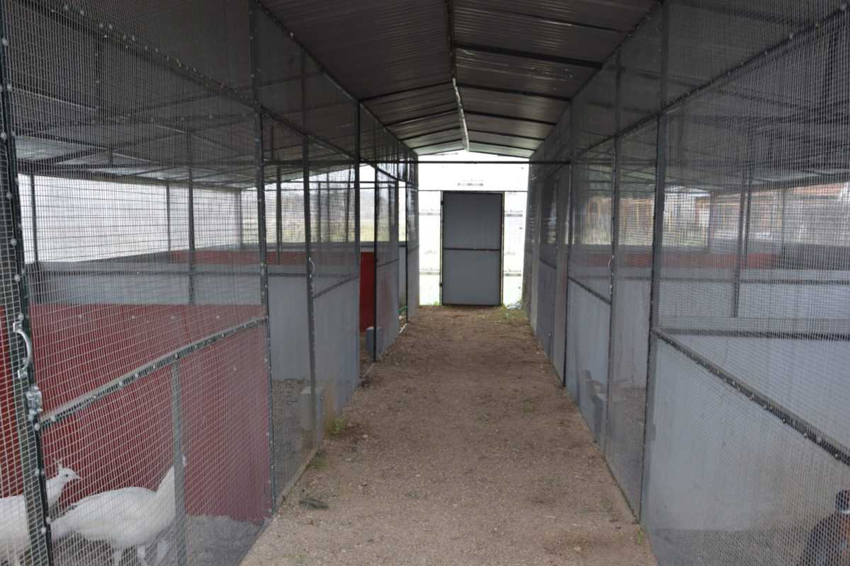 Πτολεμαΐδα: Επιχείρηση Εκτροφείο Θηραμάτων της Χρυσούλας Πεντίδου - Το μοναδικό εκτροφείο στην περιοχή ! (φωτογραφίες) - Eordaialive.com