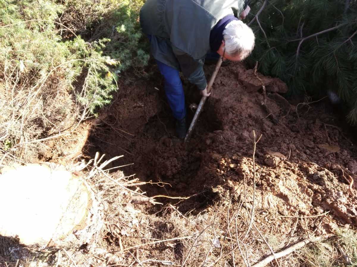Καταγγελία πολιτών: Xωρίς υδροδότηση το μισό χωριό στην Βλάστη - Αδιαφορία από την ΔΕΥΑΕ για την αποκατάσταση της βλάβης (φωτογραφίες) | Eordaialive.com Καταγγελία πολιτών: Xωρίς υδροδότηση το μισό χωριό στην Βλάστη - Αδιαφορία από την ΔΕΥΑΕ για την αποκατάσταση της βλάβης (φωτογραφίες) - Eordaialive.com