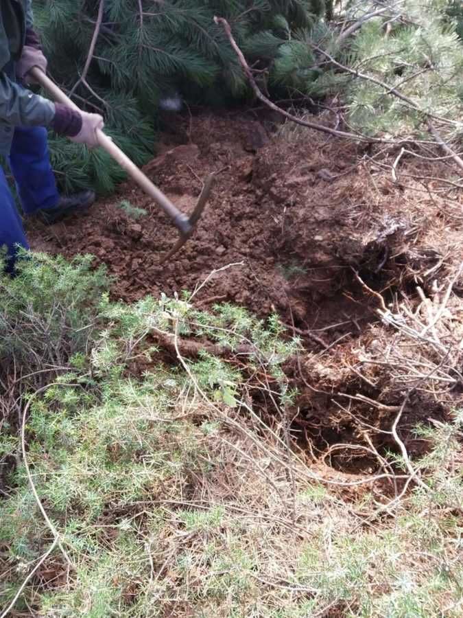 Καταγγελία πολιτών: Xωρίς υδροδότηση το μισό χωριό στην Βλάστη - Αδιαφορία από την ΔΕΥΑΕ για την αποκατάσταση της βλάβης (φωτογραφίες) | Eordaialive.com Καταγγελία πολιτών: Xωρίς υδροδότηση το μισό χωριό στην Βλάστη - Αδιαφορία από την ΔΕΥΑΕ για την αποκατάσταση της βλάβης (φωτογραφίες) - Eordaialive.com