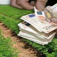 Eordaialive.com - Τα Νέα της Πτολεμαΐδας, Εορδαίας, Κοζάνης Πρόγραμμα κρατικών οικονομικών ενισχύσεων σε αγρότες -Ποιοι παίρνουν χρήματα (ΦΕΚ)