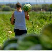 Eordaialive.com - Τα Νέα της Πτολεμαΐδας, Εορδαίας, Κοζάνης Αυτό είναι το νομοσχέδιο για τους αγροτικούς συνεταιρισμούς – Τι αλλάζει