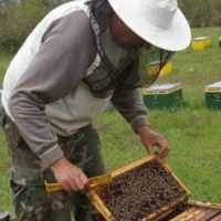 Ανακοίνωση - Υπενθύμιση Μελισσοκομικού Συλλόγου Κοζάνης