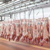 Πώς ο κορονοϊός επηρεάζει την αγορά κρέατος - Τι θα γίνει ενόψει Πάσχα
