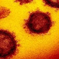Ελένη Γιαμαρέλλου: «Η αύξηση ενός βαθμού της θερμοκρασίας μειώνει τη μεταδοτικότητα του ιού κατά 45%»