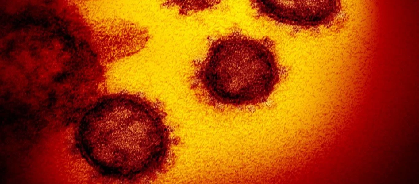 Ελένη Γιαμαρέλλου: «Η αύξηση ενός βαθμού της θερμοκρασίας μειώνει τη μεταδοτικότητα του ιού κατά 45%»