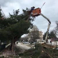 Εργασίες απομάκρυνσης των επικίνδυνων κλαδιών από δένδρα, που έσπασαν από την χιονόπτωση, ξεκίνησε ο Δήμος Εορδαίας.