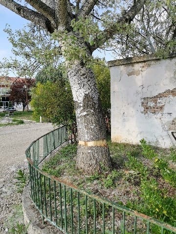 Επιστολή αναγνώστη: Έλλειψη περιβαλλοντικής ευαισθησίας από δημότες αλλά και από τον δήμο Εορδαίας.(εικόνα) - Eordaialive.com