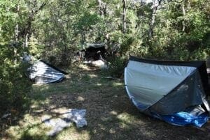 Εντοπίστηκε από το Τμήμα Ασφάλειας Γρεβενών πλήρως οργανωμένη φυτεία δενδρυλλίων κάνναβης, αποτελούμενη από -13.852- δενδρύλλια, σε δύσβατη δασική και ημιορεινή περιοχή των Γρεβενών - Eordaialive.com