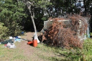 Εντοπίστηκε από το Τμήμα Ασφάλειας Γρεβενών πλήρως οργανωμένη φυτεία δενδρυλλίων κάνναβης, αποτελούμενη από -13.852- δενδρύλλια, σε δύσβατη δασική και ημιορεινή περιοχή των Γρεβενών - Eordaialive.com