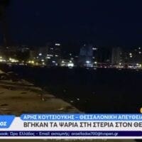 Σπάνιο φαινόμενο στη Θεσσαλονίκη: Δεκάδες ψάρια πήδηξαν και βγήκαν μόνα τους στην στεριά (βίντεο) - Eordaialive.com