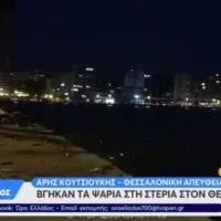 Σπάνιο φαινόμενο στη Θεσσαλονίκη: Δεκάδες ψάρια πήδηξαν και βγήκαν μόνα τους στην στεριά (βίντεο)