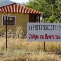 Κοζάνη: Αρνητικό το αποτέλεσμα των εξετάσεων για Αφρικανική Πανώλη των Χοίρων - Eordaialive.com