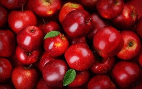 Εορδαία: Στα ελληνικά χέρια «επένδυσαν» φέτος οι παραγωγοί Μήλων