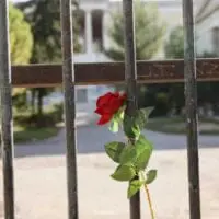 ΕΛΑΣ: Ακυρώνει το πρόστιμο της γυναίκας για το λουλούδι στο Πολυτεχνείο -Θα το πλήρωνε ο ΣΥΡΙΖΑ