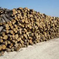 Eordaialive.com - Τα Νέα της Πτολεμαΐδας, Εορδαίας, Κοζάνης Δεν είναι δυνατή η αίτηση επιδότησης ξύλου και πέλλετ (pellet) στα χωριά μας (Ελλήσποντoς)