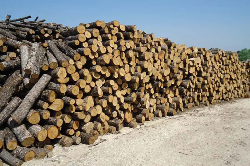 Eordaialive.com - Τα Νέα της Πτολεμαΐδας, Εορδαίας, Κοζάνης Δεν είναι δυνατή η αίτηση επιδότησης ξύλου και πέλλετ (pellet) στα χωριά μας (Ελλήσποντoς)
