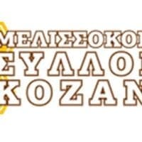 SOS για τις μέλισσες: «Χωρίς αυτές, τα 2/3 της τροφής μας κινδυνεύουν»