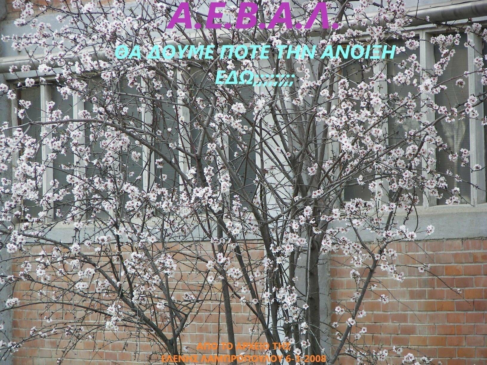 ΠΤΟΛΕΜΑΪΔΑ: Η ΠΟΝΕΜΕΝΗ ΙΣΤΟΡΙΑ ΤΗΣ ΑΕΒΑΛ - Eordaialive.com